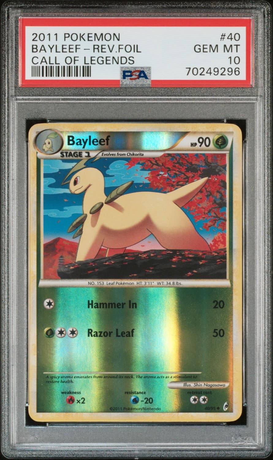 Bayleef