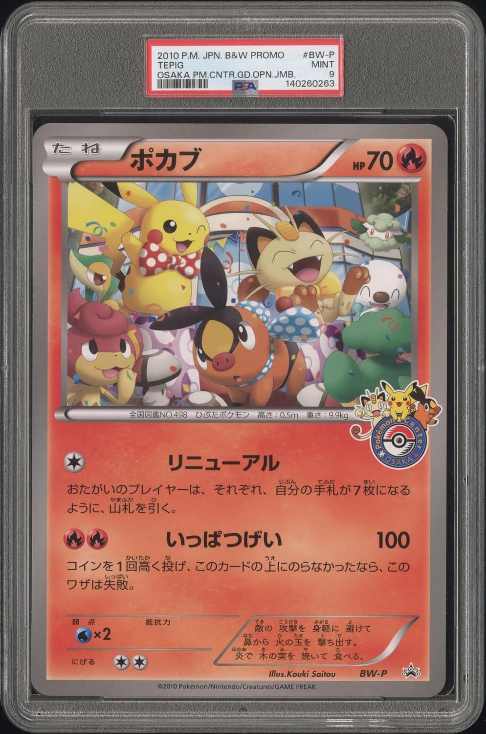 Tepig