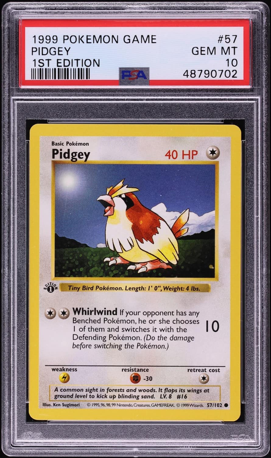 Pidgey