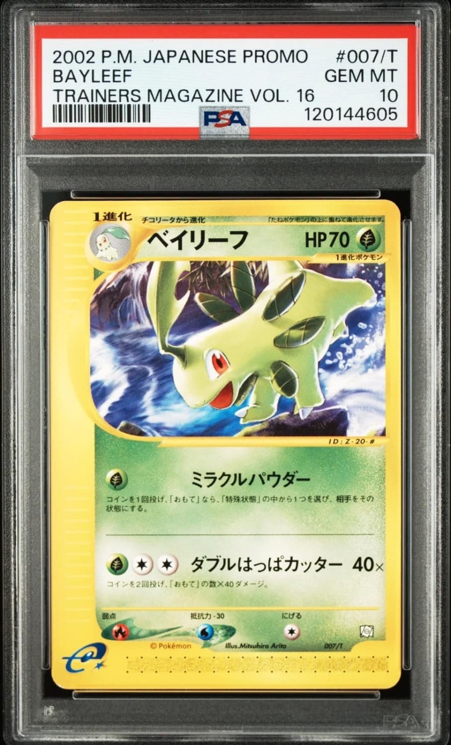 Bayleef
