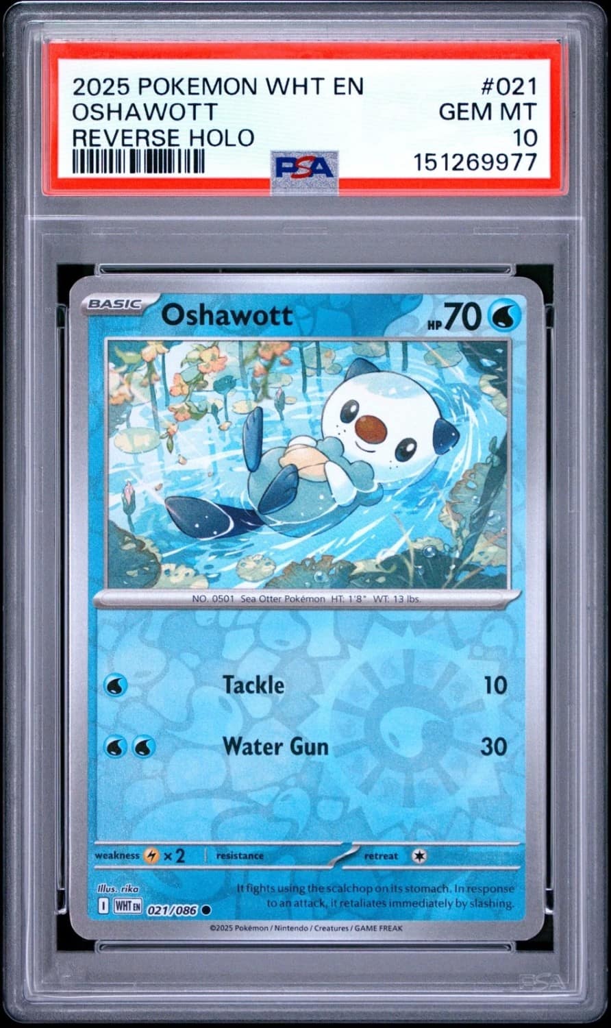 Oshawott