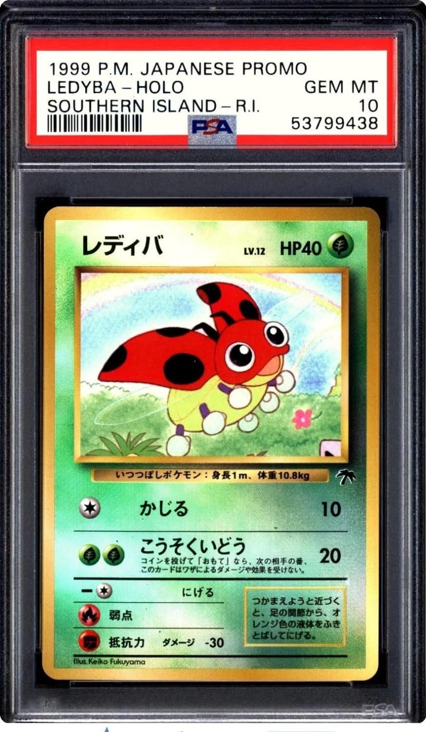 Ledyba