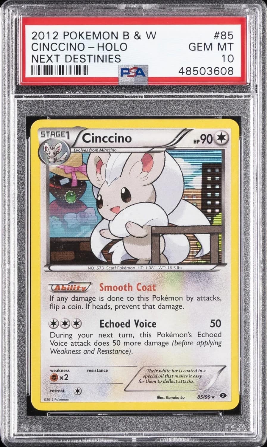 Cinccino