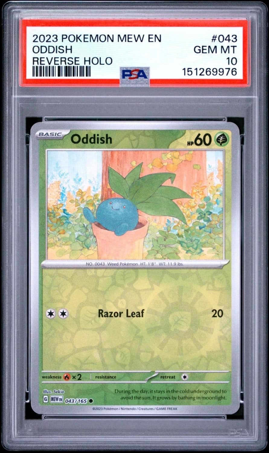 Oddish