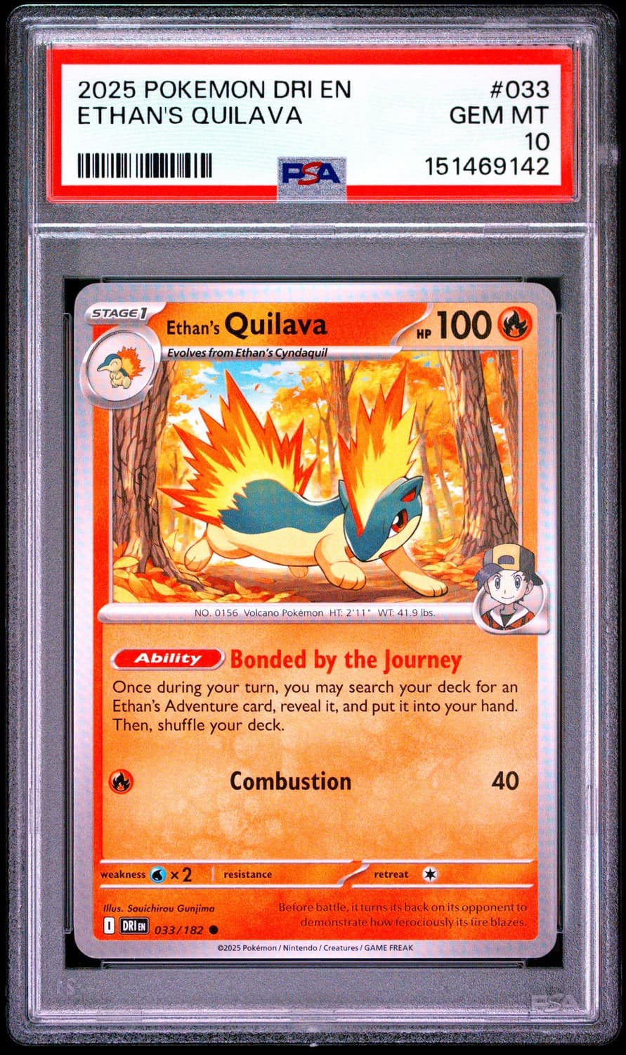 Ethan'S Quilava