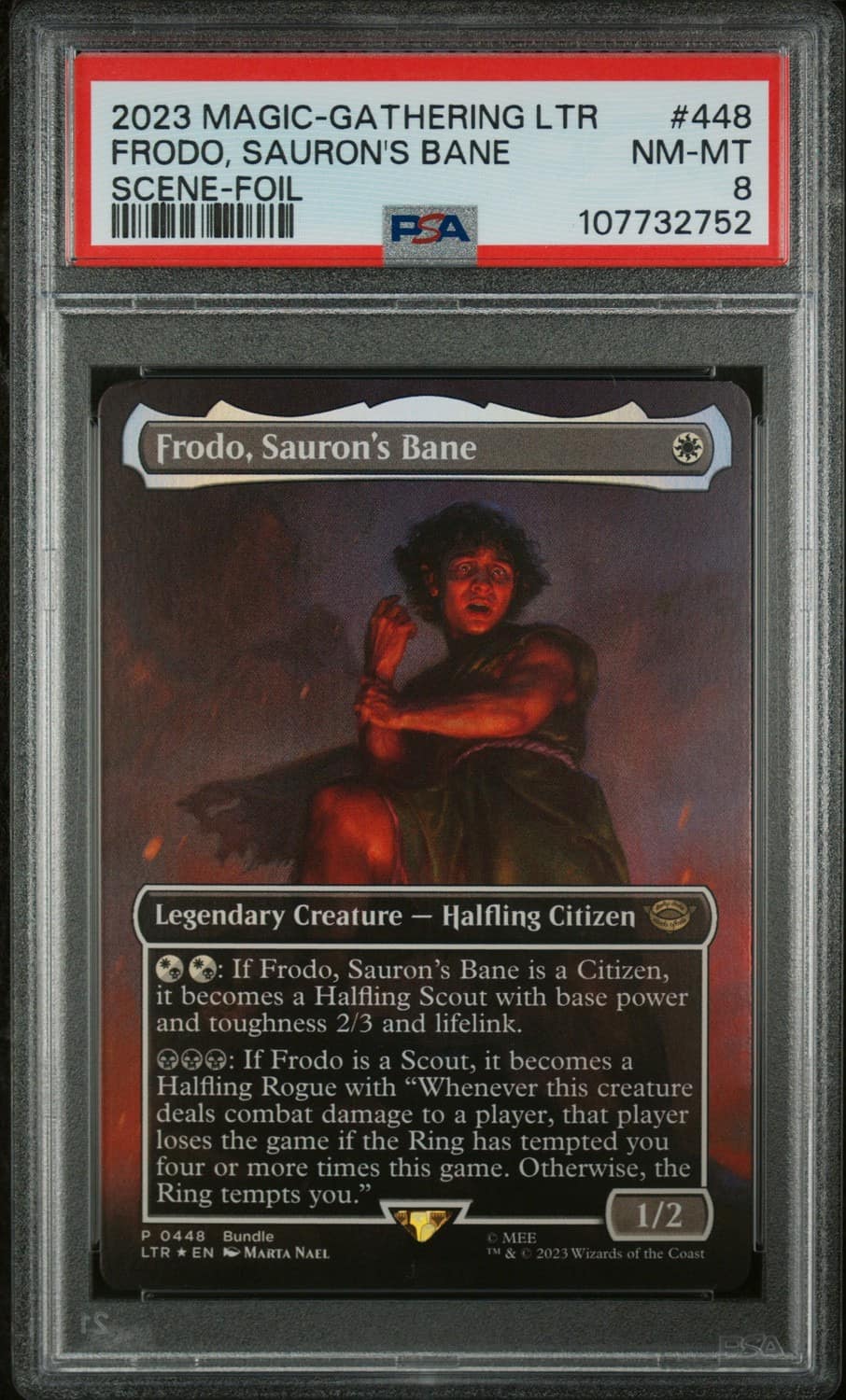 Frodo, Sauron'S Bane