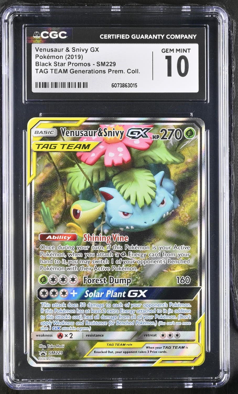 Venusaur & Snivy Gx