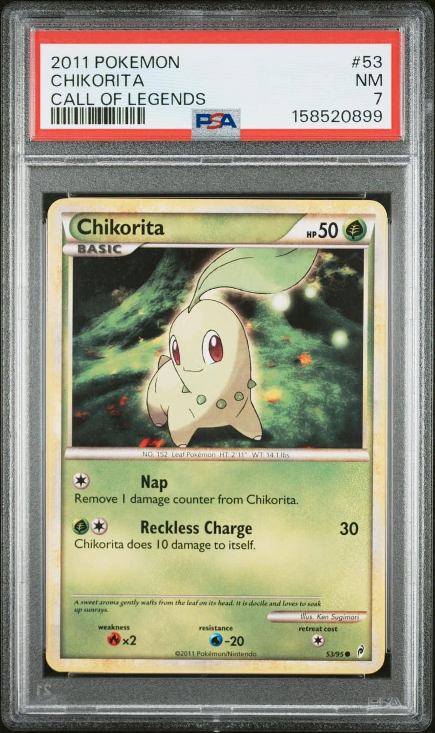 Chikorita