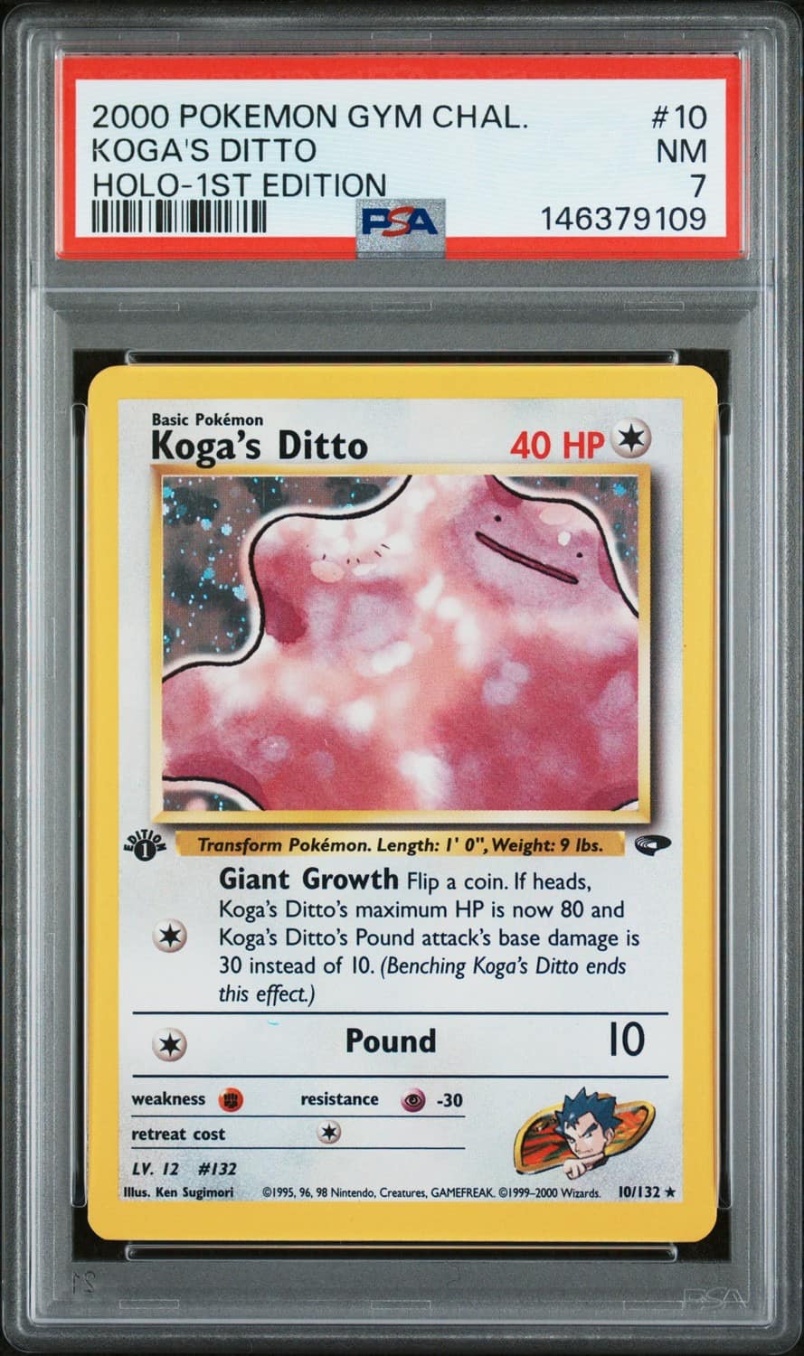 Koga'S Ditto