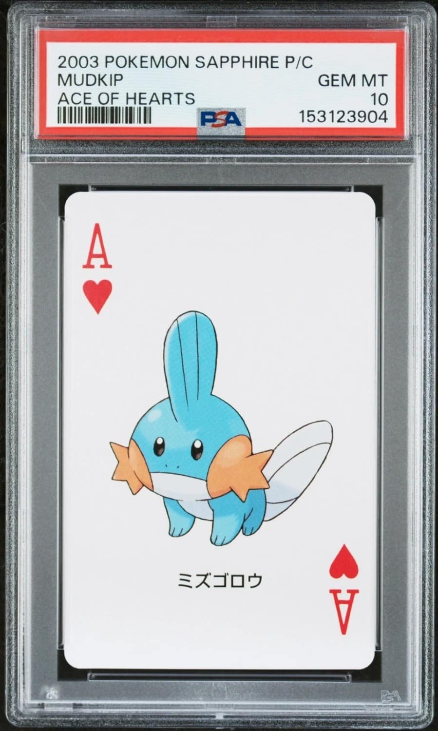 Mudkip
