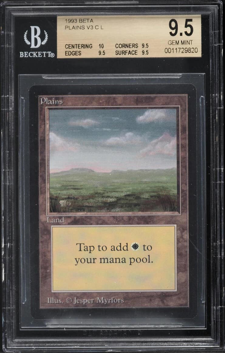 Plains V3 L