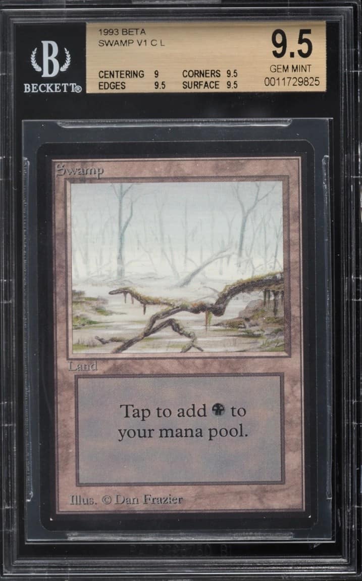Swamp (brown Tint)