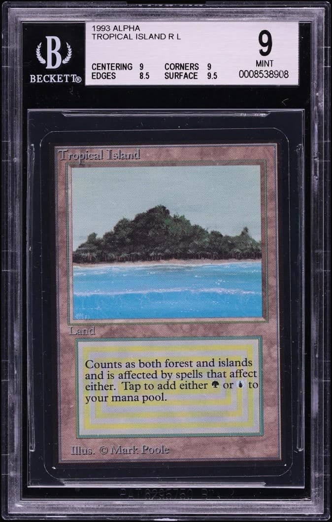 Tropical Island R :l: