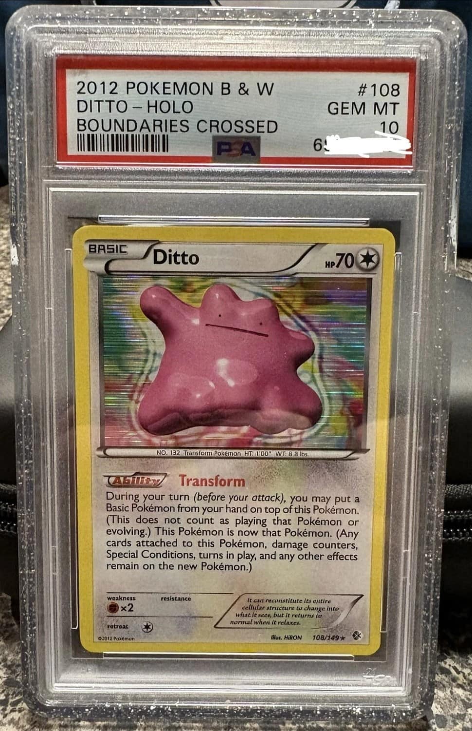 Ditto