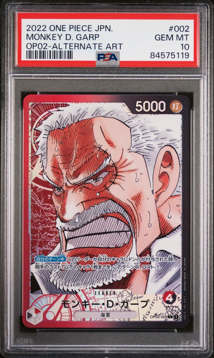 Monkey D. Garp