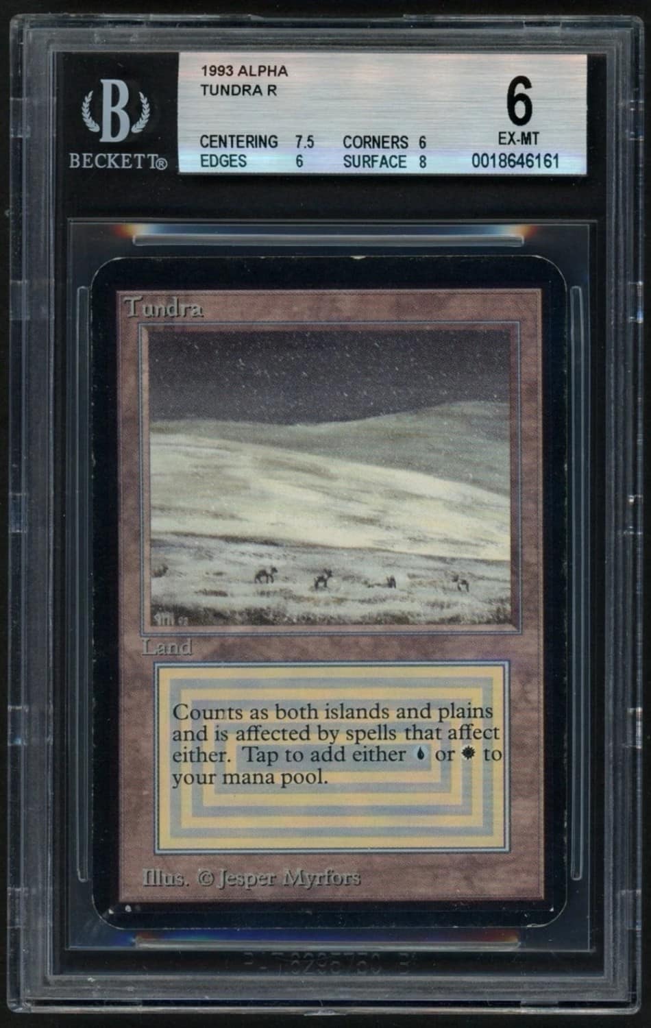 Tundra R