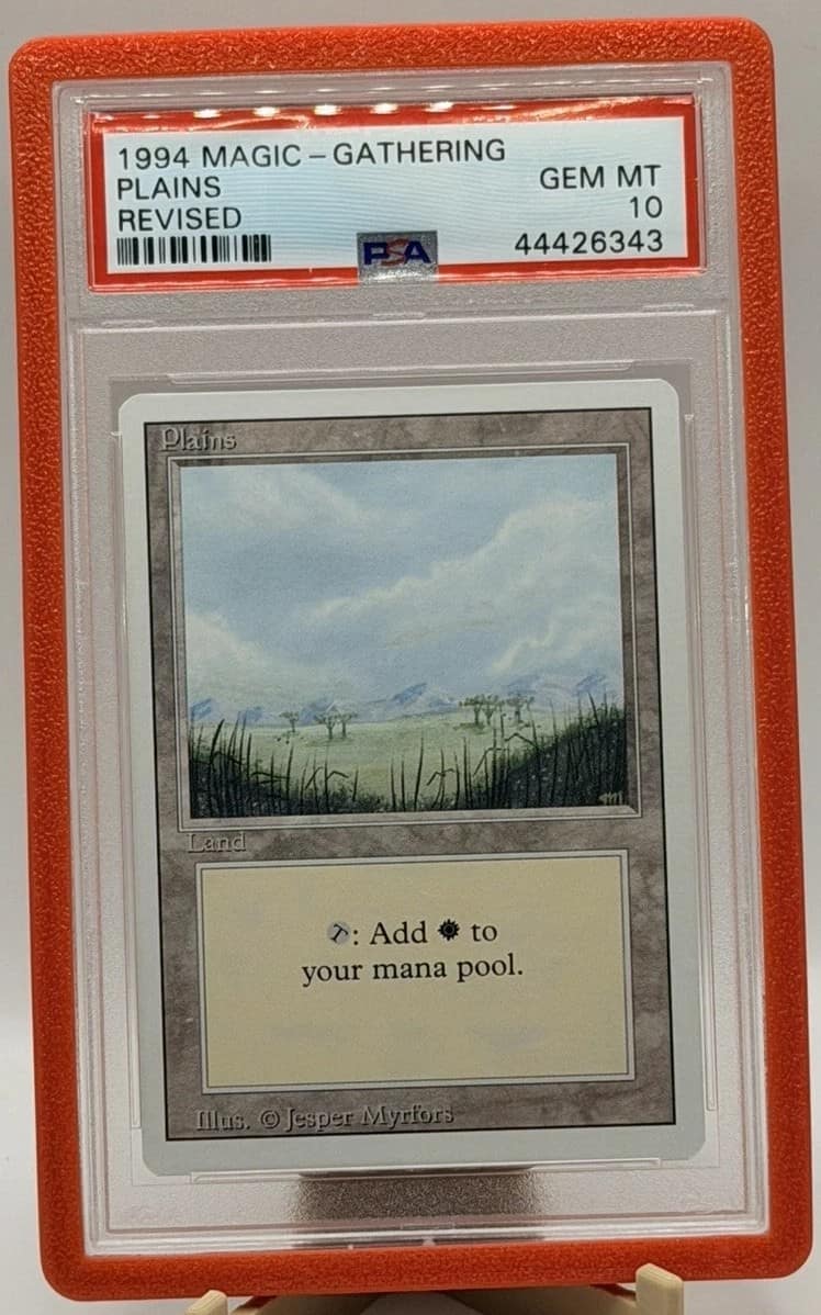 Plains