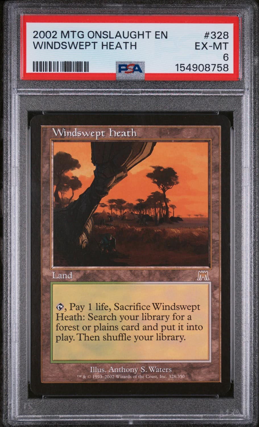 Windswept Heath
