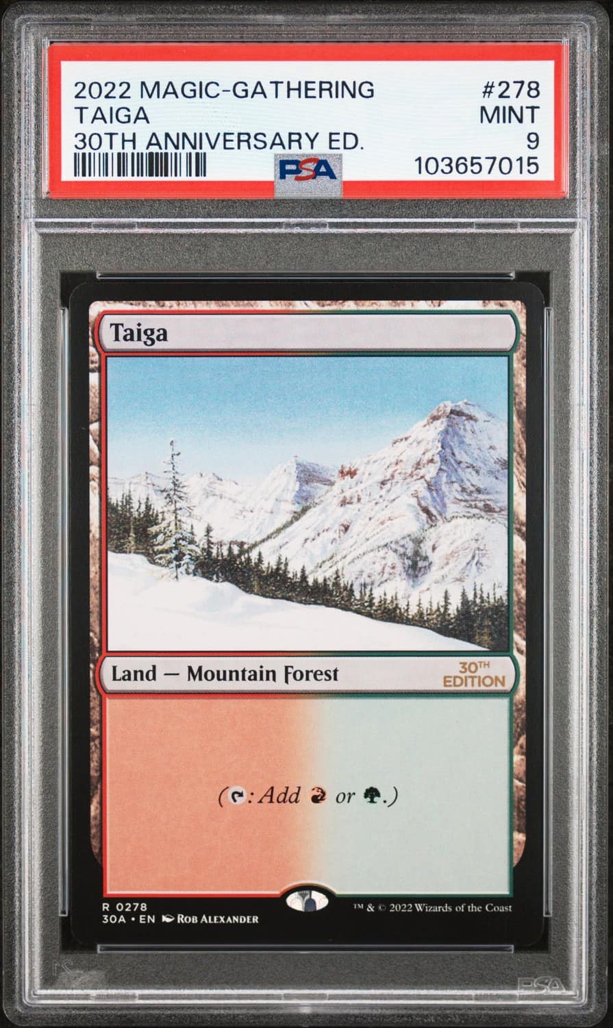 Taiga