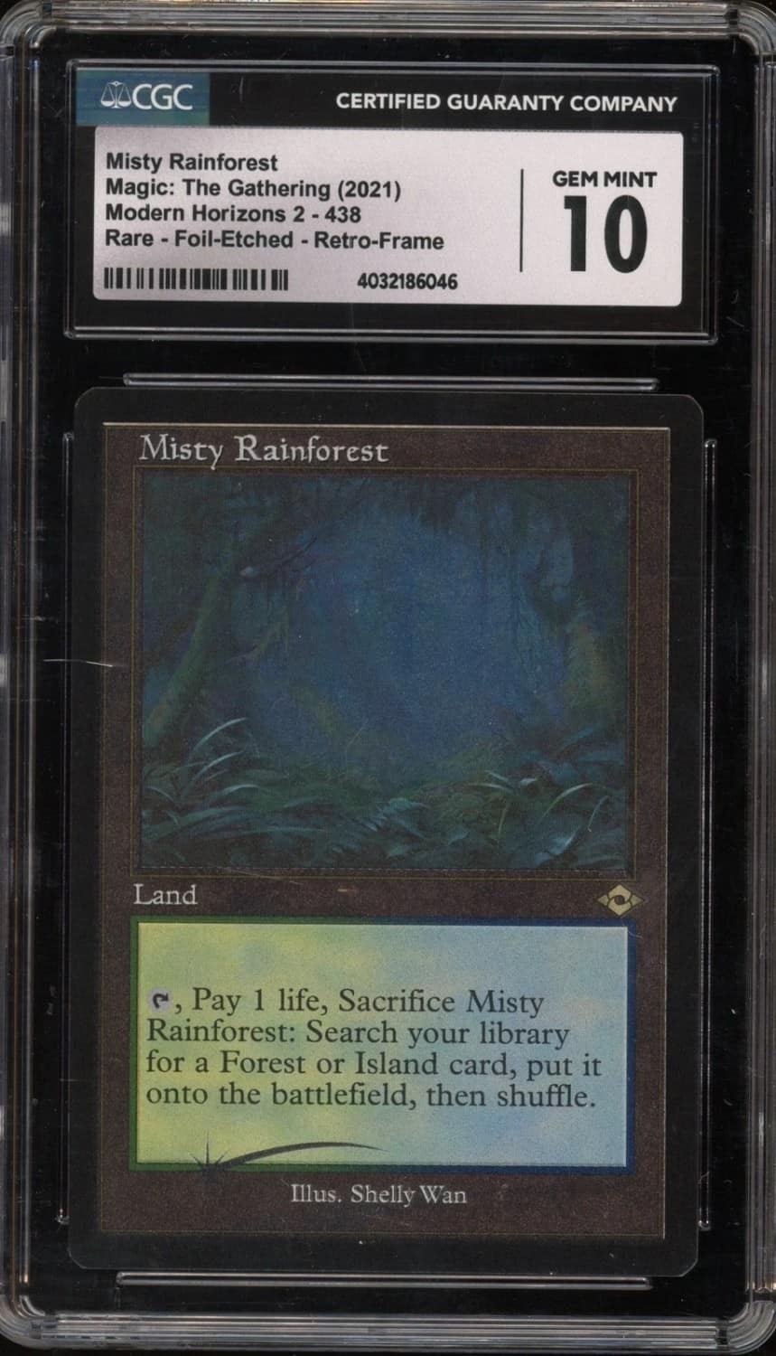 Misty Rainforest