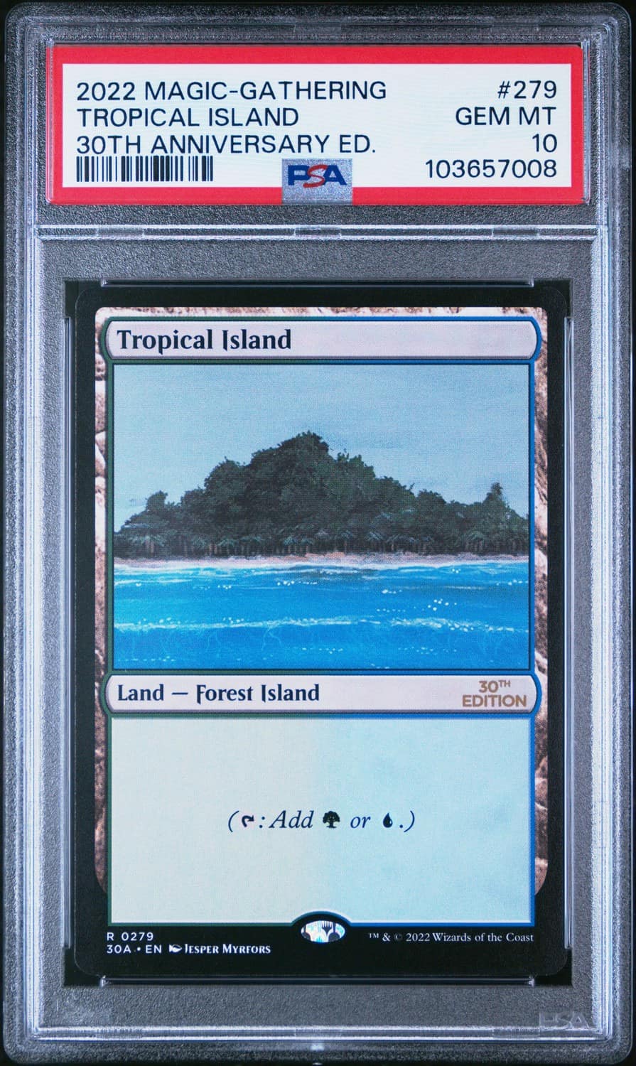 Tropical Island