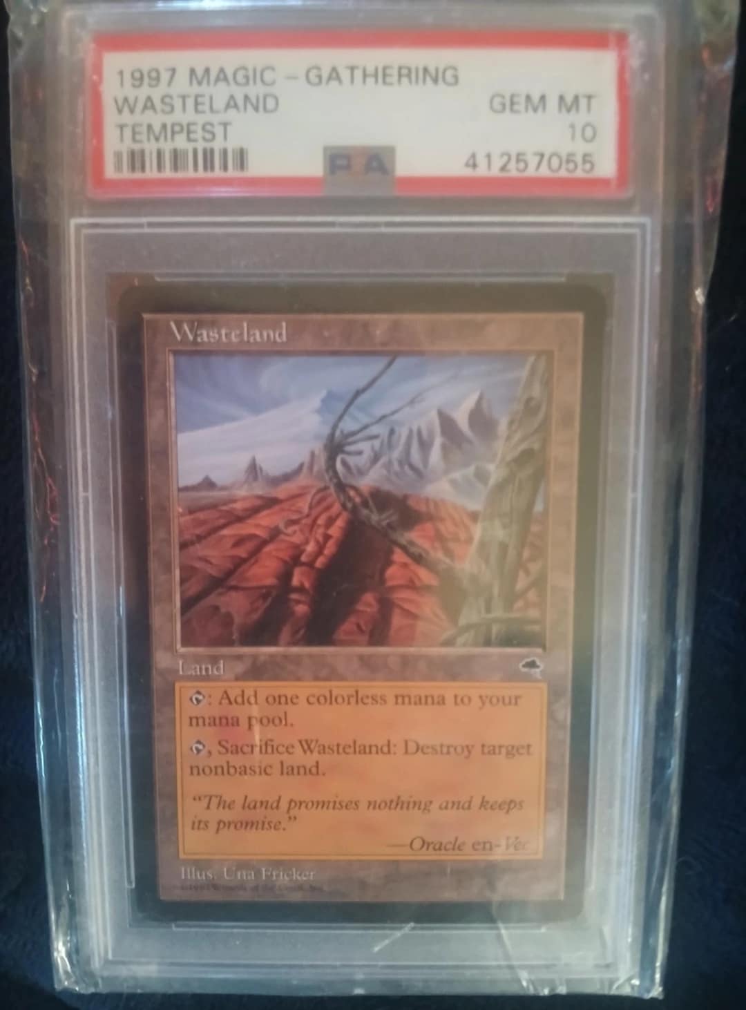 Wasteland