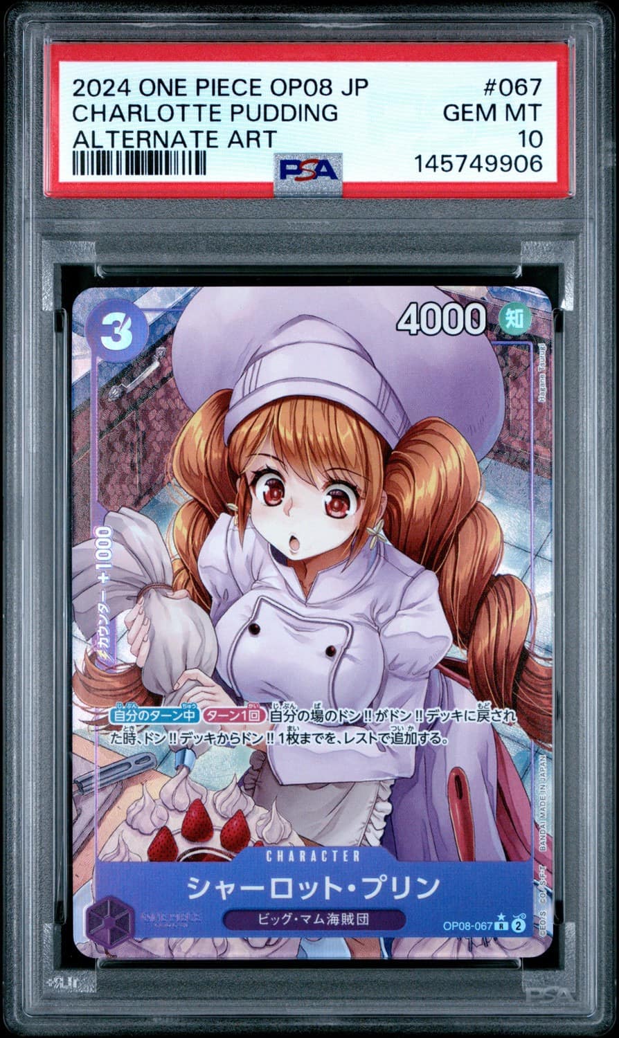 Charlotte Pudding
