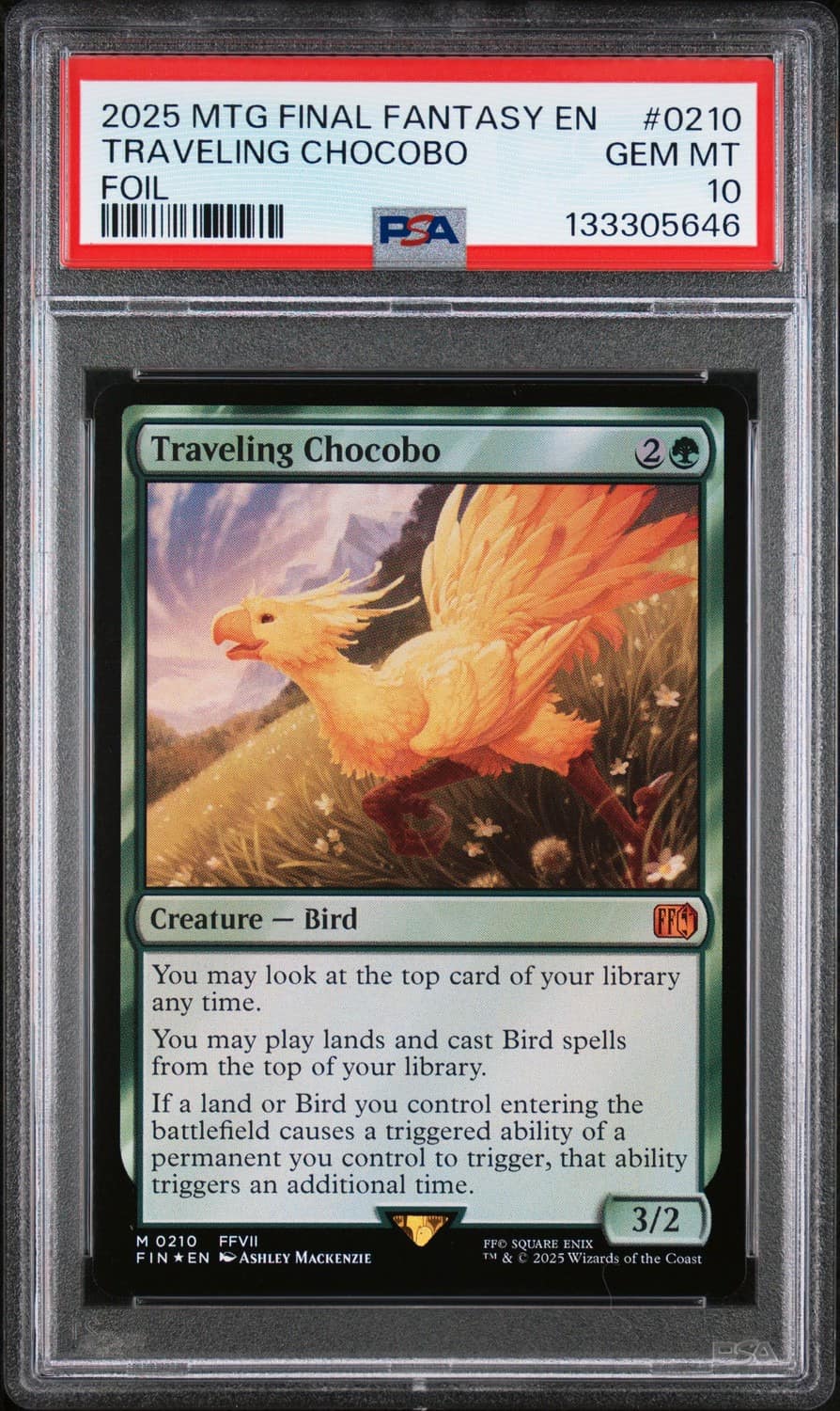 Traveling Chocobo