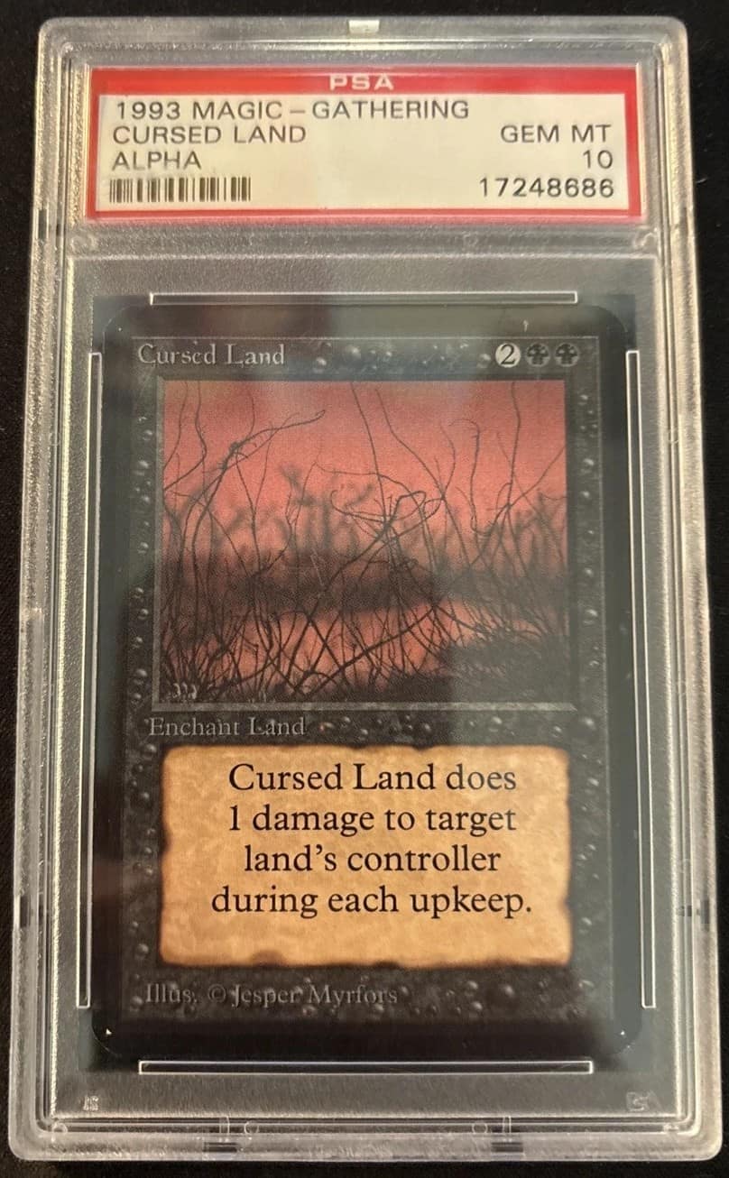 Cursed Land