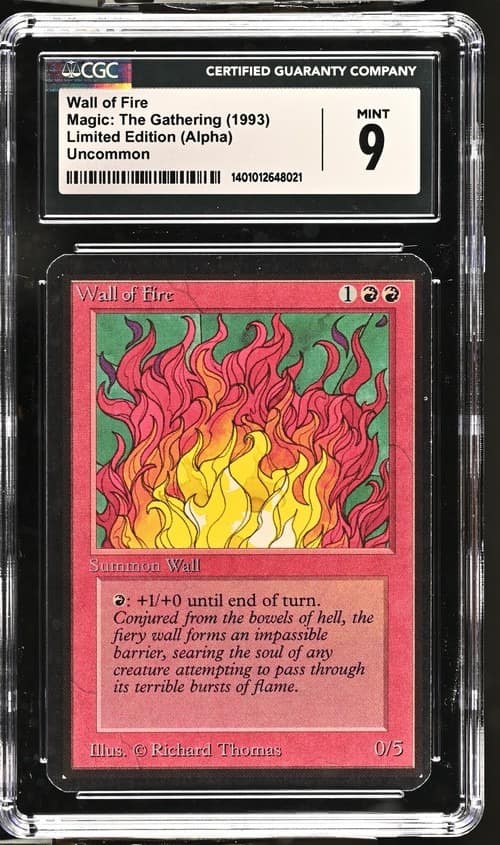 Wall Of Fire
