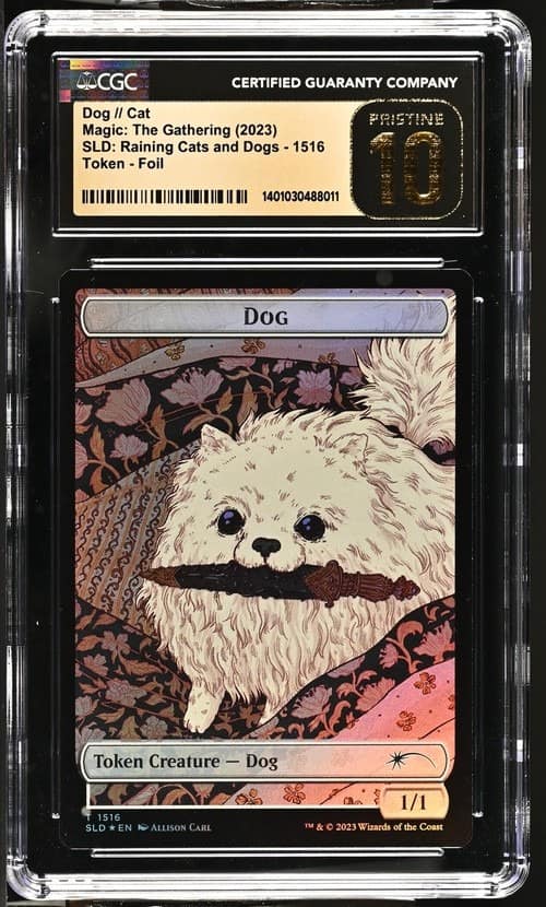 Dog // Cat