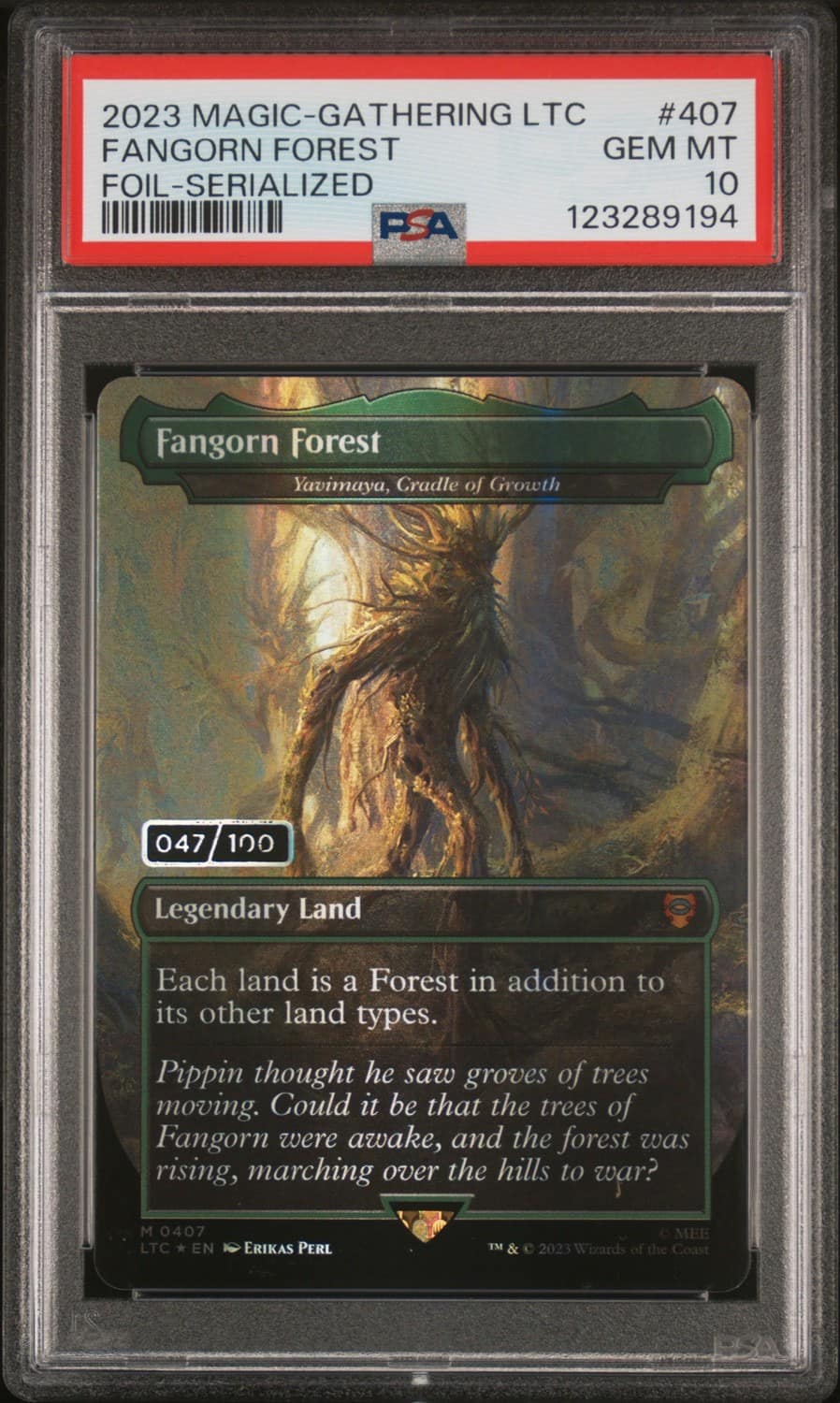 Fangorn Forest