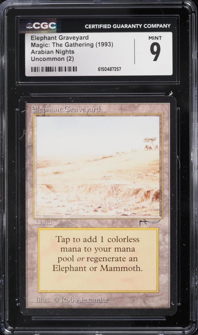 Elephant Graveyard