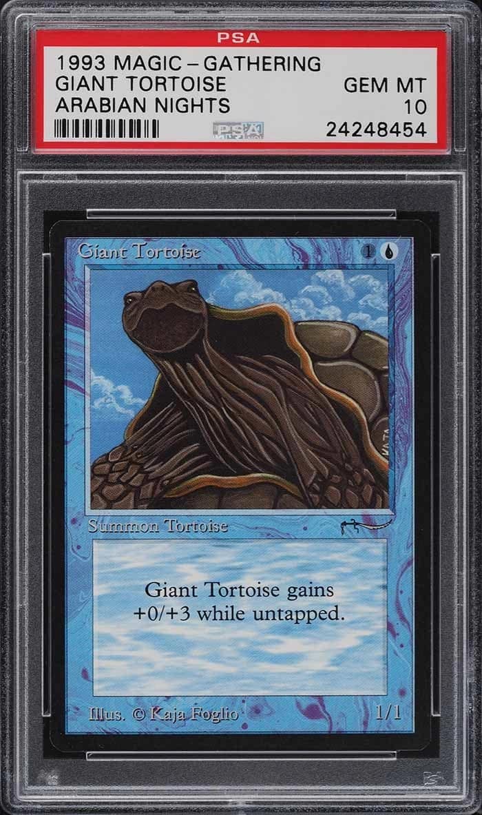 Giant Tortoise