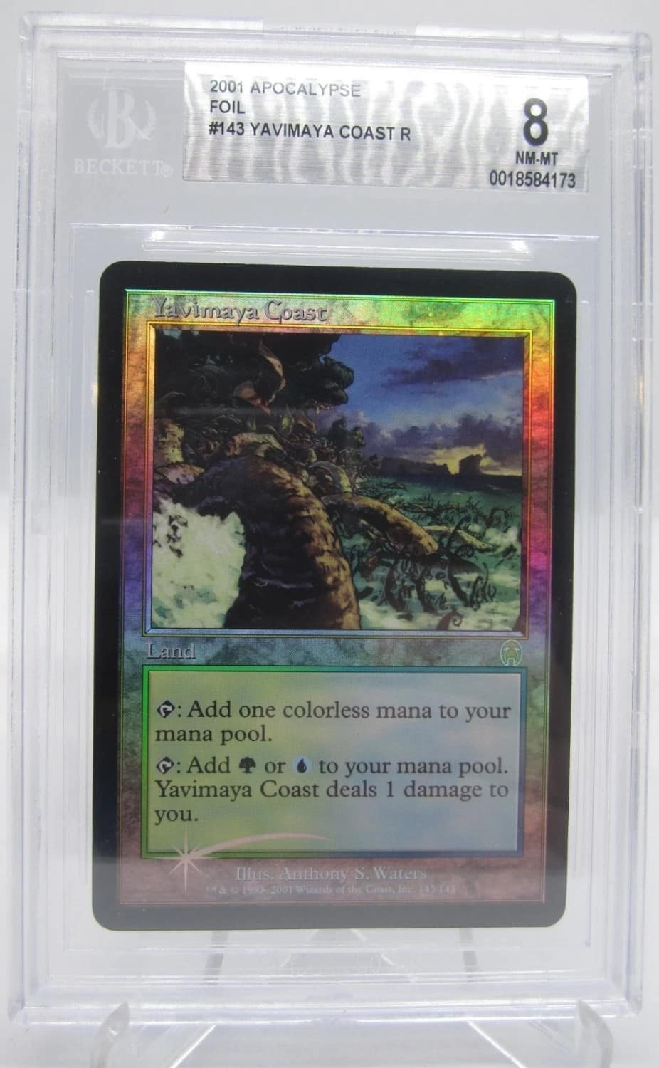 Yavimaya Coast R