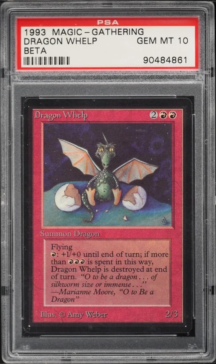 Dragon Whelp