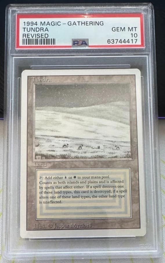 Tundra