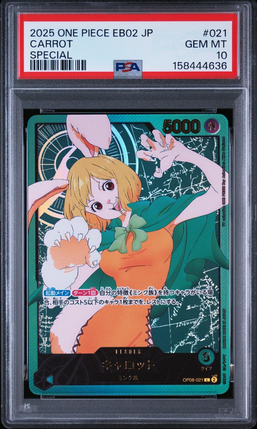 Carrot
