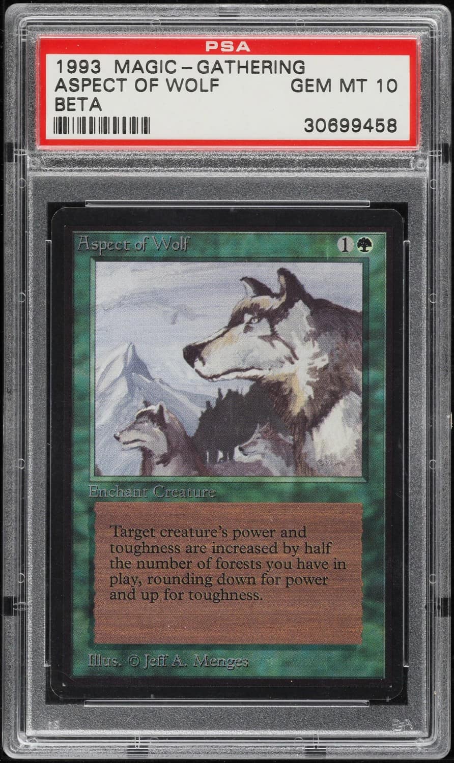 Aspect Of Wolf
