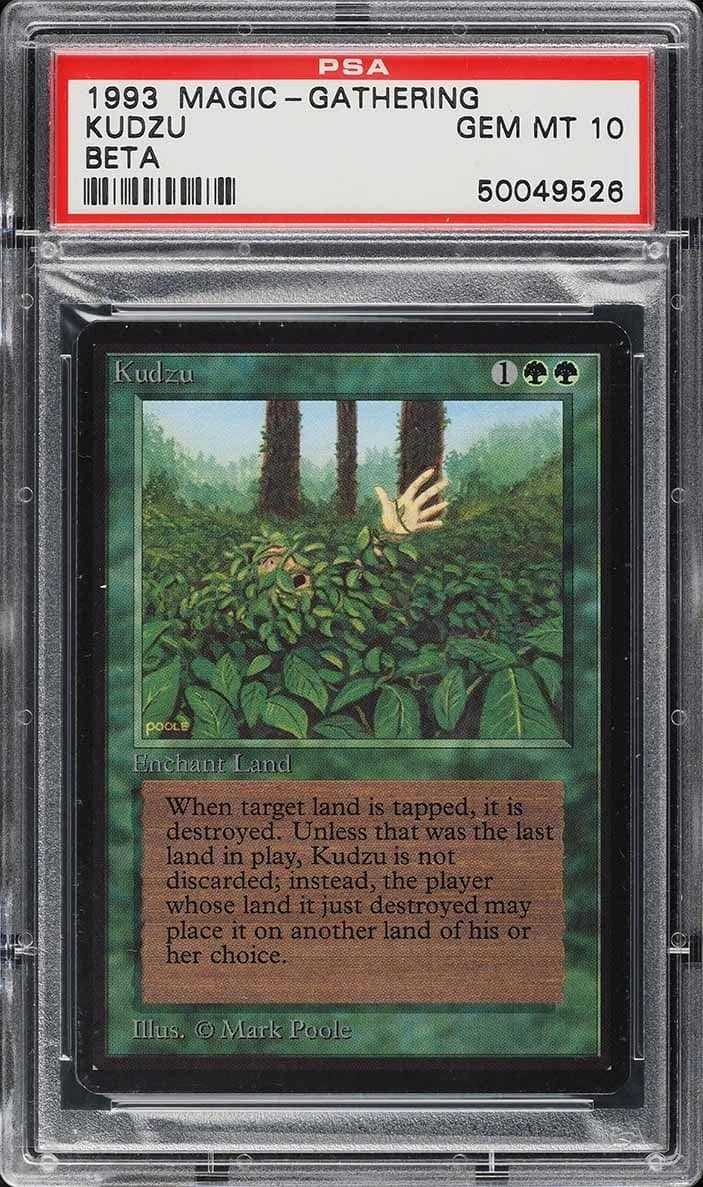 Kudzu