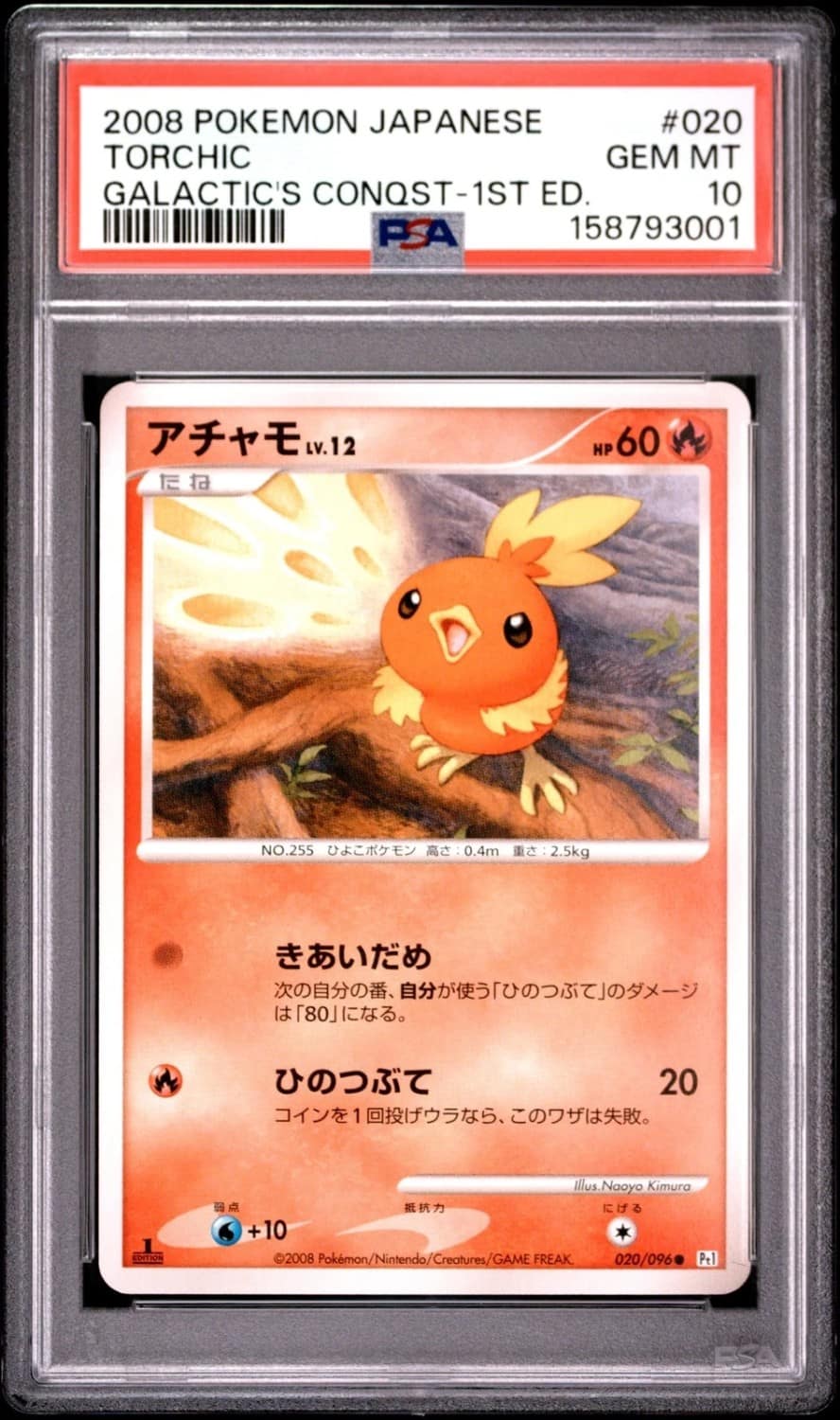 Torchic