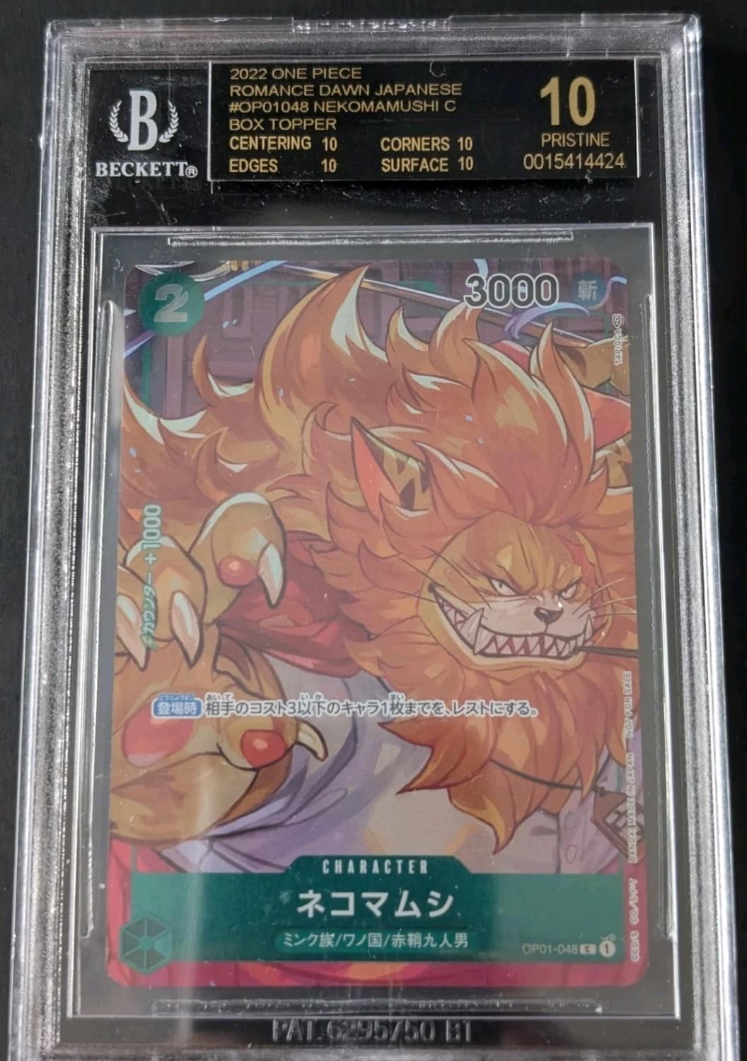 Nekomamushi C