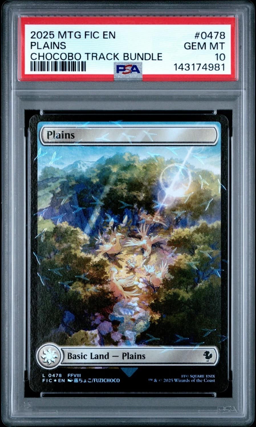 Plains