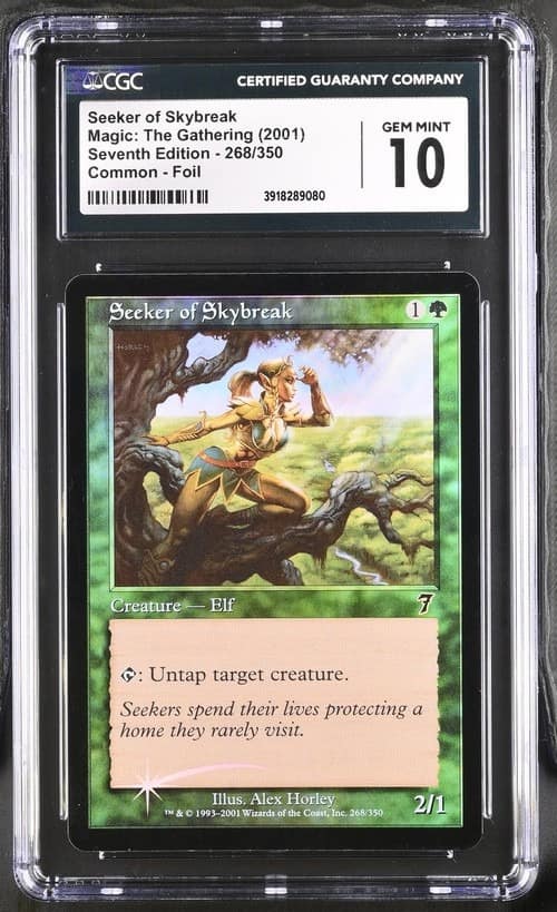 Seeker Of Skybreak