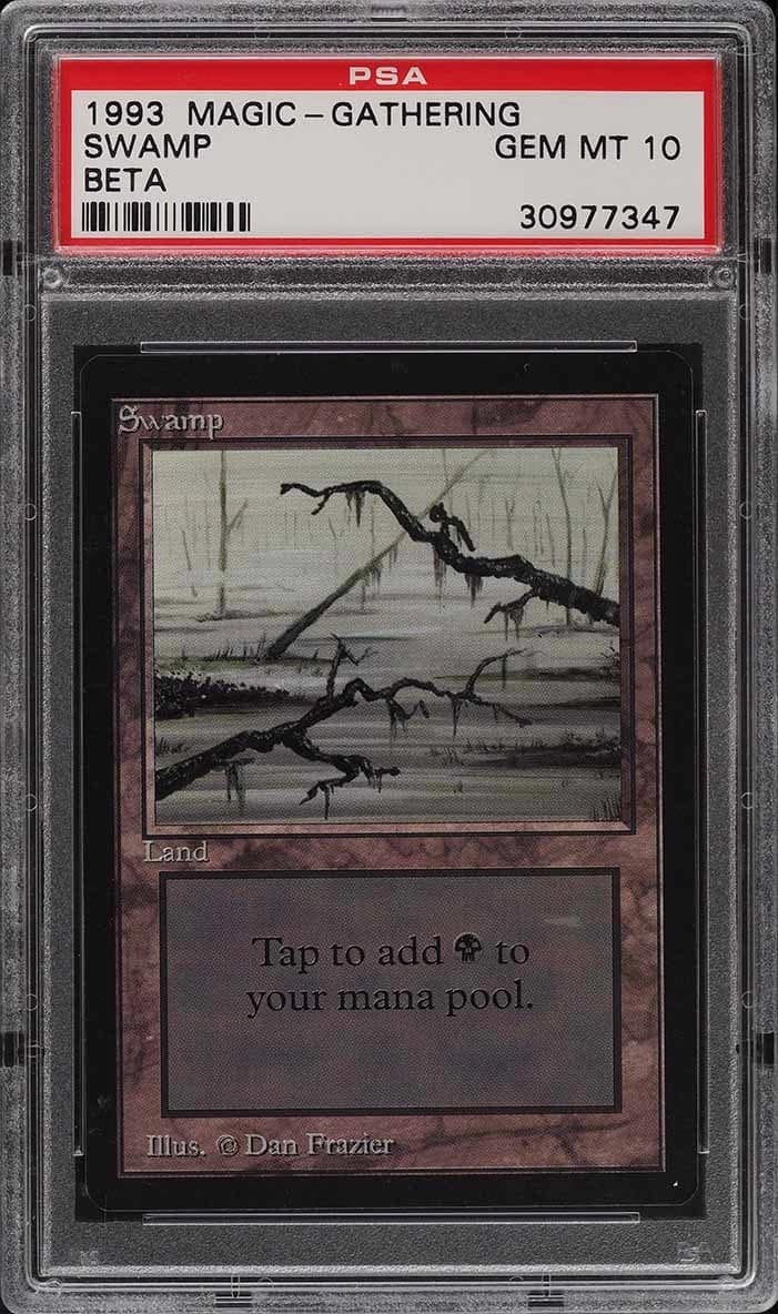 Swamp