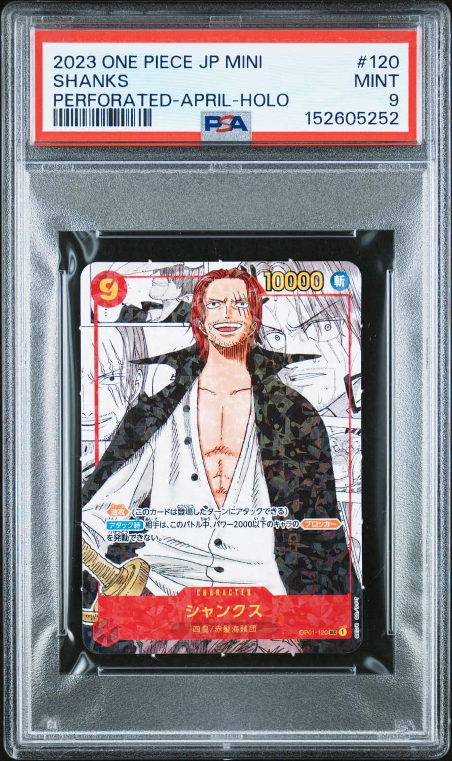 Shanks