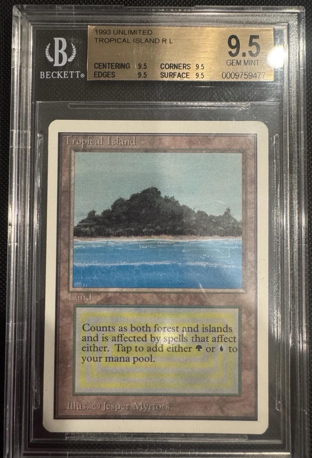 Tropical Island R :l: