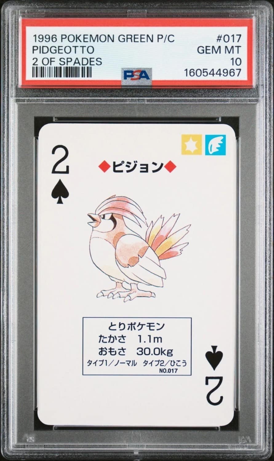 Pidgeotto