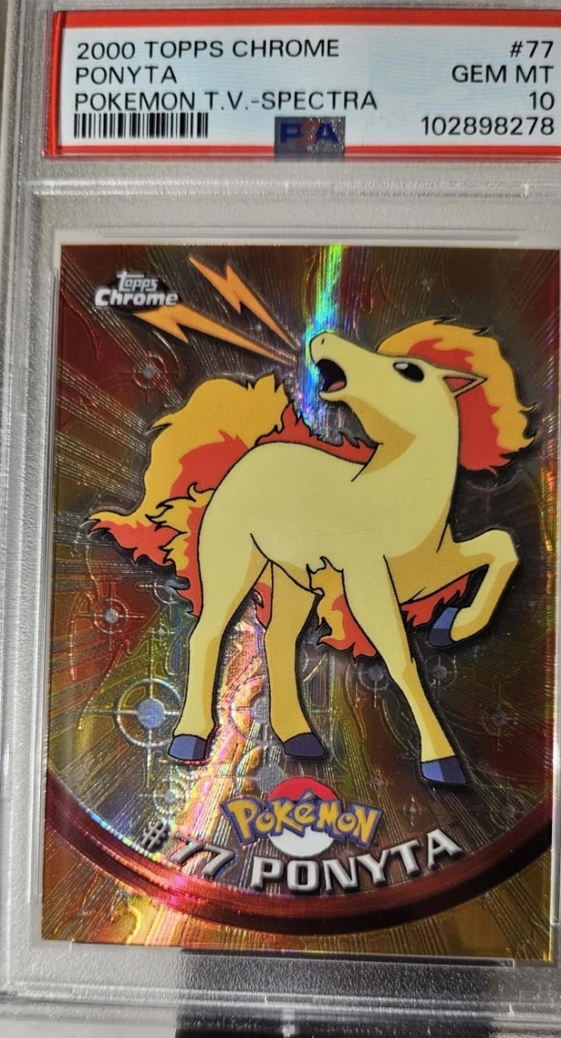 Ponyta