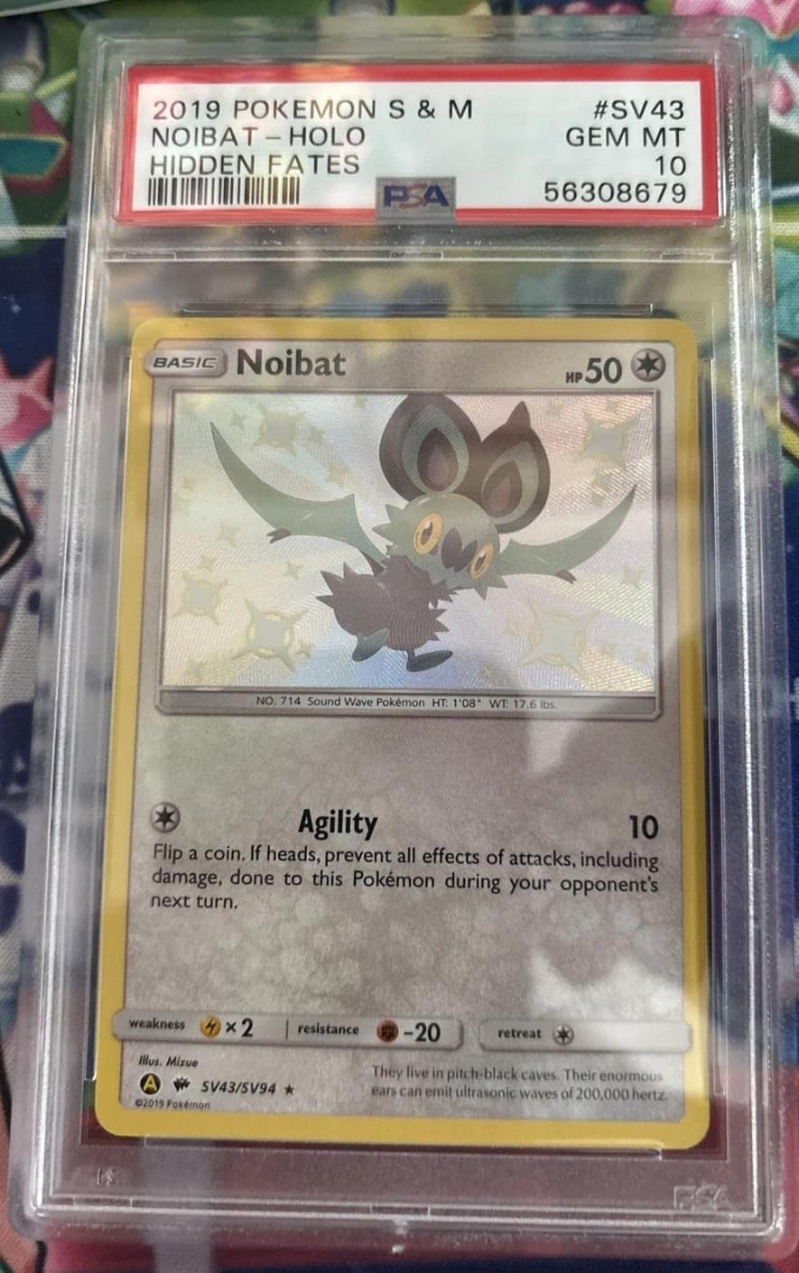 Noibat